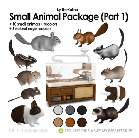 The Best CC for Adding Small Pets to the Sims 4! 8 Sims 4 Ferret Cc, Sims 4 Pet Bunny, Sims 4 Ferret, Sims 4 Small Pet Cc, Sims 4 Animal Mods, Pets Mod Sims 4, Sims 4 Package Cc, Bunny Sims 4 Cc, Sims 4 Bb Cc