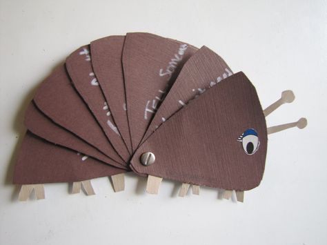 Our finished Roly Poly found ways to solve our problems. Roly Poly Craft, Insects Preschool, Forest School Activities, Insect Crafts, Insects Theme, Bug Crafts, Bug Art, Roly Poly, Insect Art