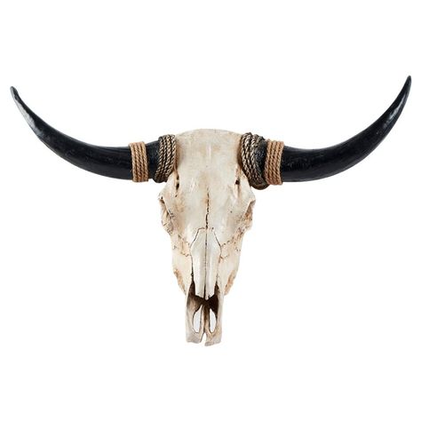 PRICES MAY VARY. Long Horn Cow Skull Wall Hanging： Authentic skulls and highest quality carvings. We hand select each skull and work directly with talented artisans with years of specialized training to ensure your longhorn skull wall decor is an incomparable piece of decor. Faux Longhorn Skull Faux Taxidermy Head： Our carved skulls are made from ethically sourced animal skulls and prepared according to Western taxidermy standards. bull head wall hanging：Say goodbye to boring walls with our one Cow Skull Wall Decor, Cow Skull Decor, Skull Wall Decor, Animal Head Wall, Longhorn Skull, Steer Skull, Long Horn, Faux Taxidermy, Bull Skull