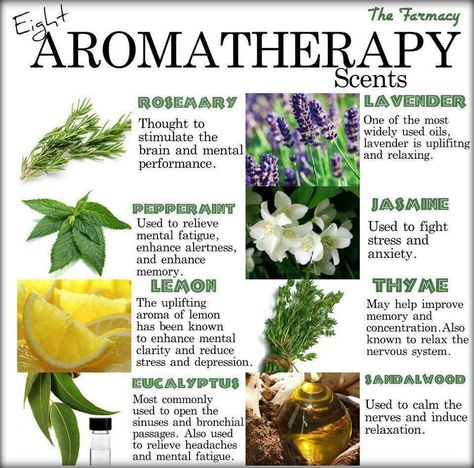 Aromatherapy Essential Oil Chart, Green Coffee Bean Extract, Aroma Therapy, Green Coffee Bean, Essential Oils Aromatherapy, Natural Healing, Holistic Health, Natural Health, Natural Remedies