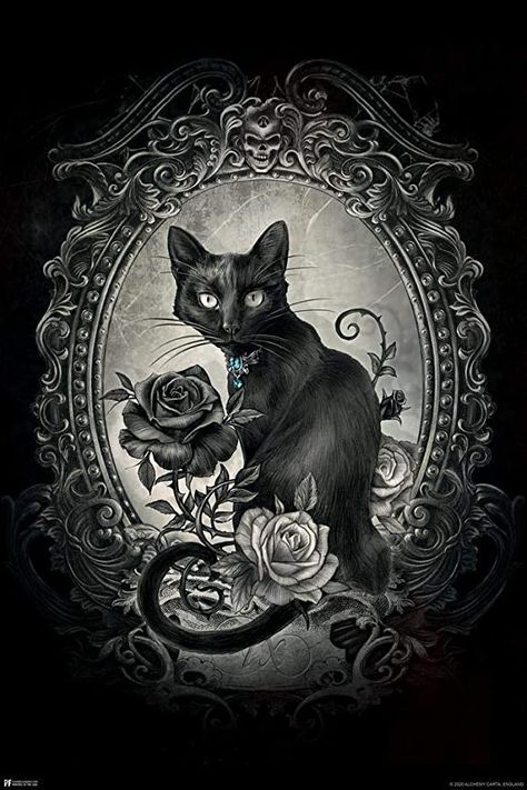 Amazon.com: Alchemy Paracelsus Black Cat Gothic Goth Room Decor Skull Horror Witchy Witchcraft Wiccan Decorations Cool Wall Decor Art Print Poster 24x36: Posters & Prints Goth Room, Grunge Posters, Goth Room Decor, Wiccan Decor, Printable Vintage Art, Gothic Wallpaper, Goth Decor, Cool Wall Art, Gothic Aesthetic