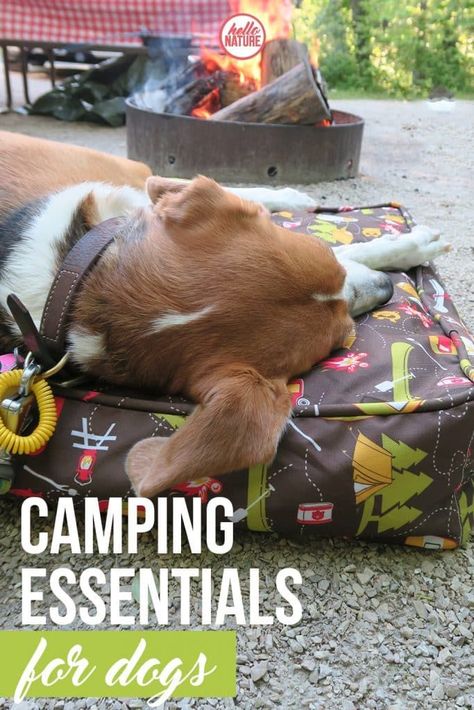 Camping Products, Camping Accesorios, Best Tents For Camping, Camping Needs, Nature Camping, Dog Camping, Family Camping Trip, Camping Items, Camping Checklist