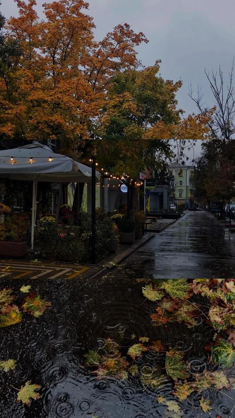 November Aesthetic Cozy, Kharkiv Aesthetic, Background Landscape Aesthetic, Rainy Wallpaper Aesthetic, Stolen Pics, Rainy Autumn Day, Autumn Backgrounds, Winter Backgrounds, October Aesthetic