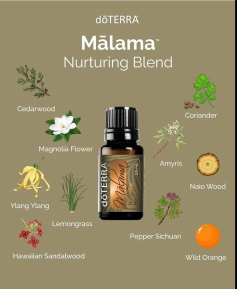 Doterra Business, Doterra Wellness Advocate, Wild Orange, Doterra Oils, April 1st, Magnolia Flower, Free Products, Doterra Essential Oils, Beauty Wellness