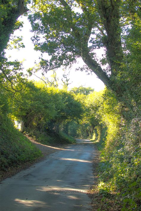 Pedestrian Lane Aesthetic, Uni Aesthetic, Exeter Devon, Nature Hd, Devon And Cornwall, British Countryside, Village Life, Exeter, English Countryside