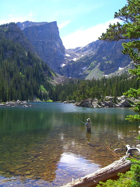 Trout Fishing Tips, Fly Fishing Tips, Fishing Pictures, Destination Voyage, Fish Camp, Gone Fishing, Trout Fishing, Rocky Mountain National Park, Best Fishing