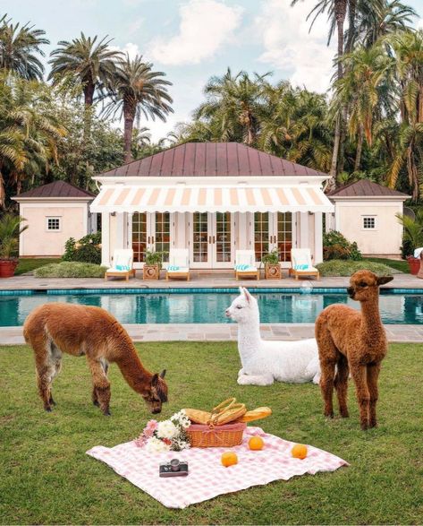 C Magazine on Instagram: “Sunday plans. 📸 @paulfuentes_photo” Sunday Plans, Paul Fuentes, Sunday Planning, Garden Picnic, Colorful Places, The Picnic, Authentic Italian, Blank Walls, Sign Printing