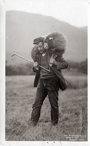 Sheep And Lamb, Oita, The Good Shepherd, Foto Vintage, The Shepherd, Back To Nature, Vintage Pictures, Vintage Photographs, Border Collie