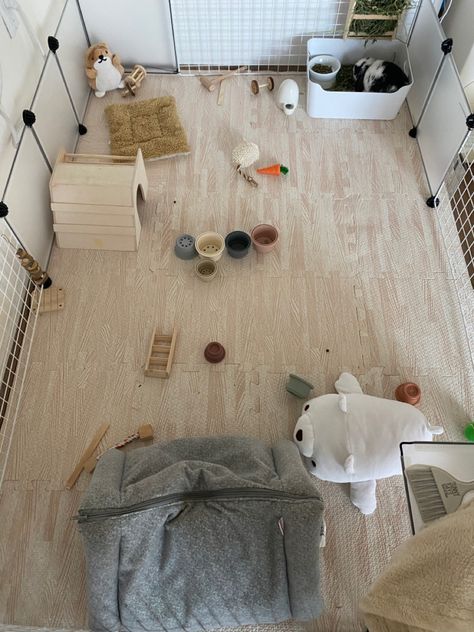 Rabbit Pen Setup, Bunny X Pen, Bunny Setup In Bedroom, Rabbit X Pen Setup, Bunny Play Pen Ideas, Bunny Room Aesthetic, Bunny Pen Ideas, Rabbit Pen Ideas, Bunny Pen Indoor