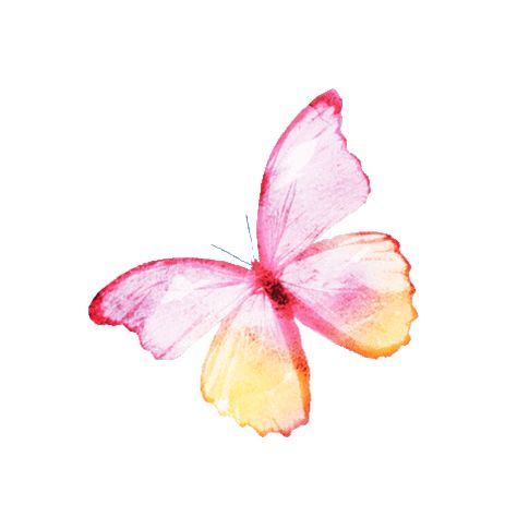 Butterfly Sticker by Clean Beauty Collective for iOS & Android | GIPHY Butterfly Gif Png, Butterfly Animation, Butterfly Animated, Butterfly Icon, Butterfly Gif, Butterfly Video, Vector Animation, Love Heart Gif, Butterfly Png