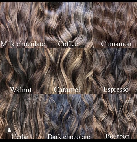 Curly Balayage Hair, Hair Color For Fair Skin, Highlights For Dark Brown Hair, Brown Wavy Hair, Brown Hair With Caramel Highlights, Dark Curly Hair, Dyed Curly Hair, Black Hair Balayage, Highlights Curly Hair