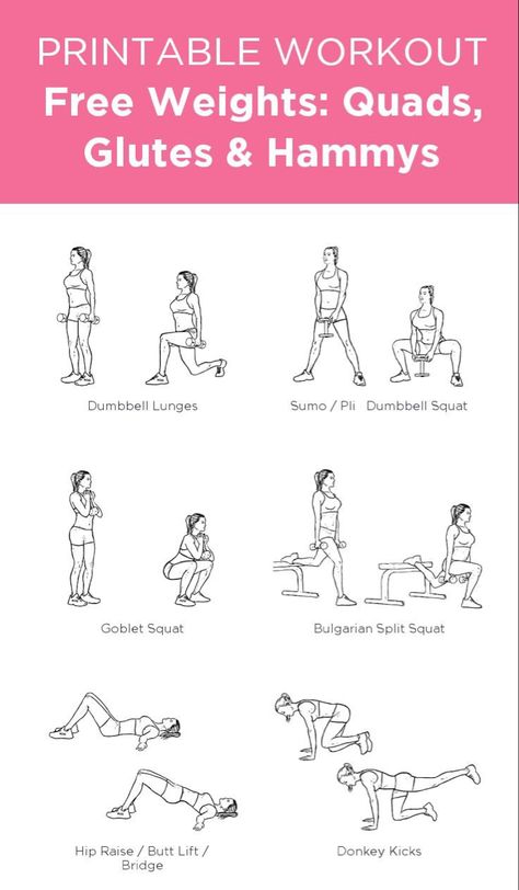 Free Weight Squats, Total Ab Workout, Workout Labs, Workout Gym Routine, Full Body Dumbbell Workout, Printable Workout, Gym Workout Plan For Women, Gym Plan, Work Out Routines Gym