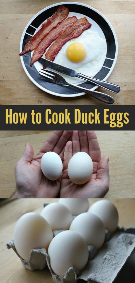 Duck Eggs Recipe, Recipes Using Duck Eggs, How To Cook Duck, Farm Goals, Egg Waffle, Cooking Breakfast, Bacon And Egg Casserole, Duck Eggs, Egg Casserole Recipes