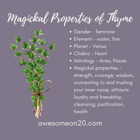 Thyme Magical Properties, Grimoire Topics, Herb Properties, Italian Witchcraft, Kitchen Witchcraft, Herbal Witch, Goddess Magick, Kitchen Witch Recipes, Magickal Herbs