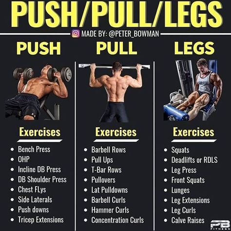 Push Pull Legs (PPL) by @peter_bowman - Push Pull Legs is one of the best splits out there in my opinion. Largely because you are hitting each muscle group every 72 hours which has been shown to be an ideal frequency. After 72 hours the muscle building signal is diminished and the nutrients and protein you consume won't be utilized as efficiently to build muscle. - I have posted about this split before but one thing I want to clarify is that the exercises listed don't need to all be done in one Push Pull Workout Routine, Push Pull Legs Routine, Pull Exercises, Push Pull Legs Workout, Push Pull Workout, Exercises For Men, Push Pull Legs, Push Workout, Full Body Workout Routine