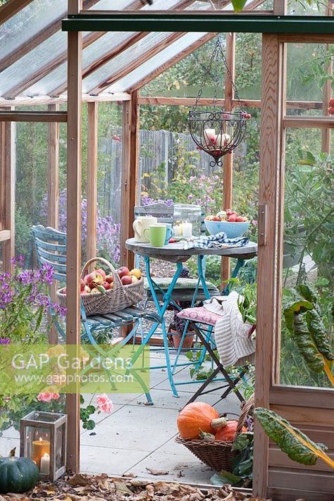 Small seating area in the greenhouse, fresh picked apples and pumpkins in baskets Greenhouse With Seating Area, Greenhouse Seating Area, Greenhouse Sitting Area, Greenhouse Seating, Greenhouse Tables, Greenhouse Decor, Apples And Pumpkins, Inspiring Gardens, Garden Shed Interiors