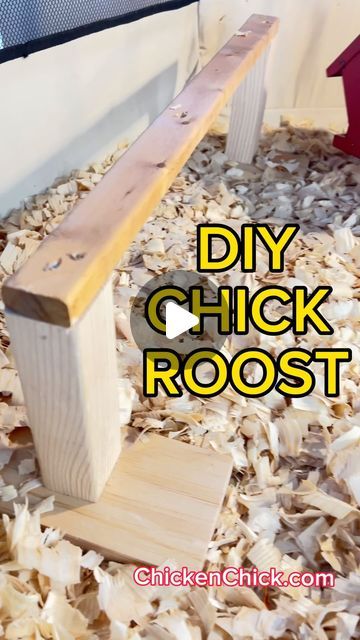 Kathy, The Chicken Chick®️ on Instagram: "Chicks NEED a roost! If you want them sleeping on roosts in the Big Girl Coop, train ‘em early!  Make this Easy Chick Roost with scrap wood in 20 minutes or less!  More brooder essentials on my website at this link!—> https://bit.ly/2CEjsNe  🐥 🐥 🐥 #backyardchickens  #petchickens #chickens #chickenkeeping #chickenyard #chicks #chickdays #babychicks #roost #perch" Chick Brooder, Chicken Perches, Chicken Brooder, Chicken Roost, Building A Retaining Wall, Diy Chicken Coop Plans, Chicken Bird, Backyard Chicken Farming, Chicken Life