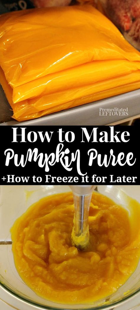 Preparing Pumpkin Puree, How To Cook Fresh Pumpkin In The Oven, Recipes For Pumpkin Guts, How To Freeze Pumpkin, How To Freeze Pumpkin Puree, Freezing Pumpkin Puree, How To Use Pumpkin Guts, How To Roast A Pumpkin, Roasting Pumpkins For Puree