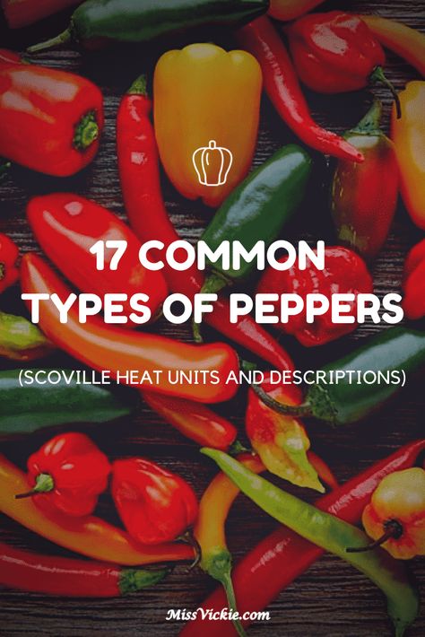 Hot Pepper Chart, Long Green Peppers, Types Of Chili Peppers, Growing Hot Pepper, Sweet Banana Peppers, Thai Chili Pepper, Habanero Chili, Types Of Peppers, Green Chili Peppers