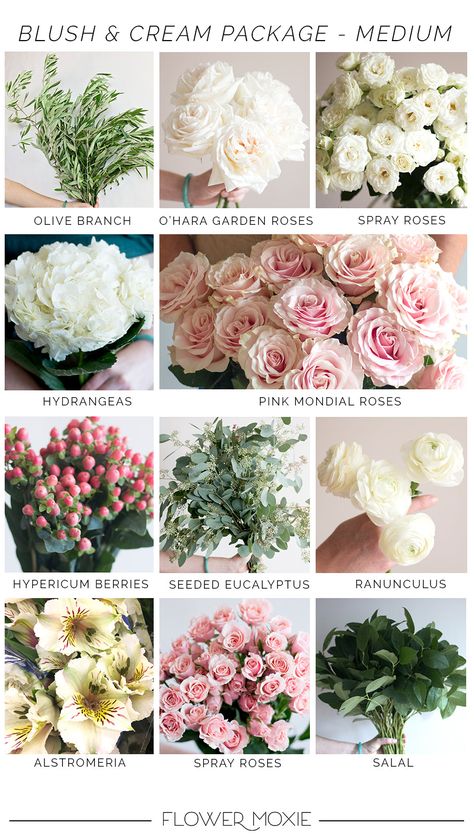 Blush and Cream DIY Flowers | DIY Wedding Flowers | Flower Moxie Diy Budget Wedding, Blush Wedding Centerpieces, Flower Moxie, Wholesale Flowers Wedding, Light Pink Wedding, White Ranunculus, Wedding Flower Packages, Blush Bouquet, Blush Wedding Flowers