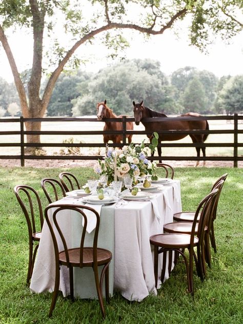 Equestrian Wedding, Horse Wedding, Modern Wedding Venue, Eventing Horses, Wedding Venue Houston, Equestrian Estate, Horse Ranch, Travel Shopping, Houston Wedding