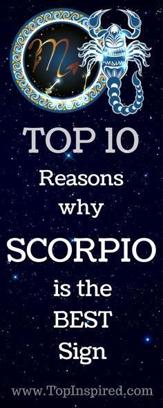 Funny Virgo Quotes, The Best Zodiac Sign, Virgo Stuff, Gemini Characteristics, Virgo Man, Zodiac Quotes Scorpio, Astrology Scorpio, The Scorpions, Virgo Traits