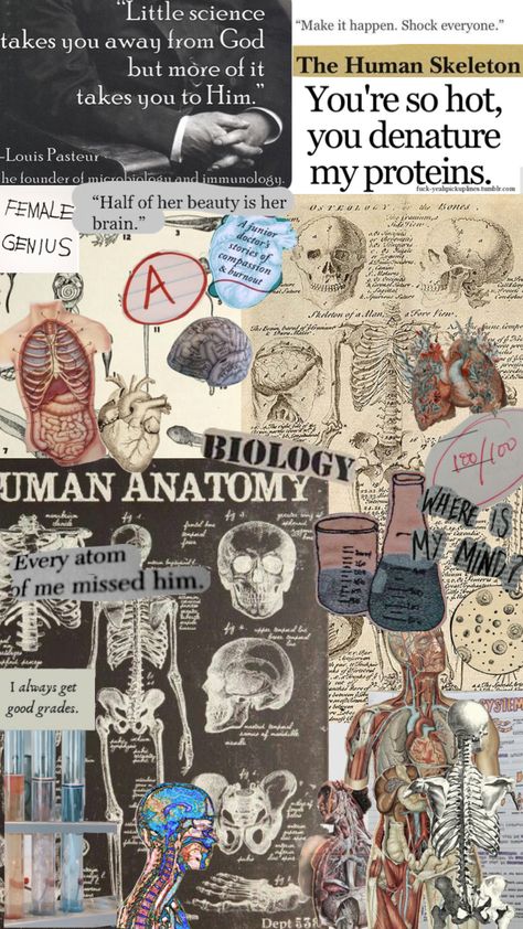 Immunology Aesthetic, Louis Pasteur, Medical School Life, Human Skeleton, Anatomy Art, School Life, Medical School, Anatomy, Medical