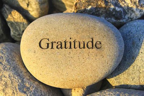 Gratitude Day, Gratitude Meditation, Thanksgiving Prayer, Jack Canfield, Karma Yoga, Daily Gratitude, Attitude Of Gratitude, Grateful Heart, Practice Gratitude