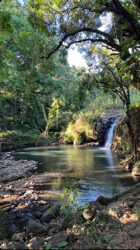 Forest Stream Photography, Top Of Waterfall, Landscapes With Water, Water Fall Pictures Ideas, Real Waterfall, Pretty Waterfall, Kolam Koi, Waterfall Scenery, Nature Waterfall