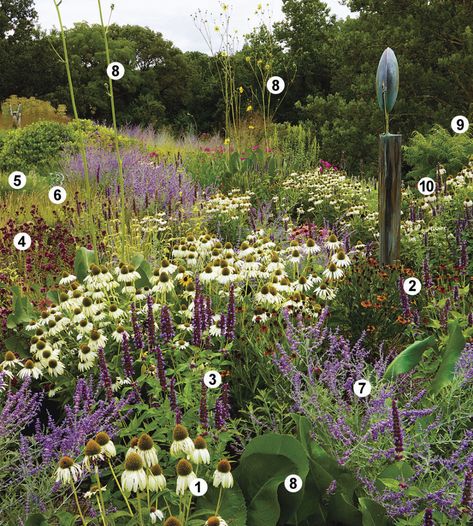 Matrix Planting, Pollinator Garden Design, Planting Design, Native Plant Gardening, Front Yard Garden Design, Fine Gardening, Garden Show, Native Garden, Plant Combinations