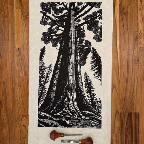 Original Hand-Carved Linocut Relief Print Title: A Redwood Forest Giant Year: 2024 Artist Print (Limited Edition of 6) From the perspective of a hiker in the beautiful redwood forest, I tried to capture our insignificance compared to these giants. Single color linocut printed on white Awagami Mingeishi 45 gsm paper with Caligo Safe Wash Relief Ink. Note: Edition number shown in photo may not be the same as described above, but all of the prints of this edition are very close, yet unique. Linocut Tree, Linocut Landscape, Forest Giant, Color Linocut, Woodcut Art, Lino Art, Relief Printing, Lino Cut, Redwood Forest