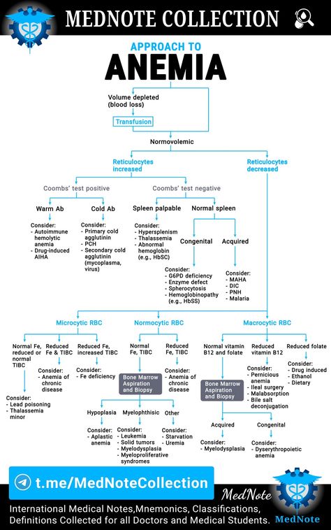 Hematology Notes, Laboratory Student, Medical Laboratory Science Student, Student Doctor, Medical School Life, Medicine Studies, Basic Anatomy And Physiology, Nurse Study Notes, Nursing Student Tips