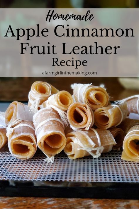 Apple Cinnamon Fruit Leather | an Easy Homemade Recipe Fruit Leather Recipe Oven, Healthy Fall Snacks, Apple Salsa, Fruit Leather Recipe, Dehydrating Food, Raw Snacks, Fruit Leather, Fruit Roll, Dehydrated Fruit