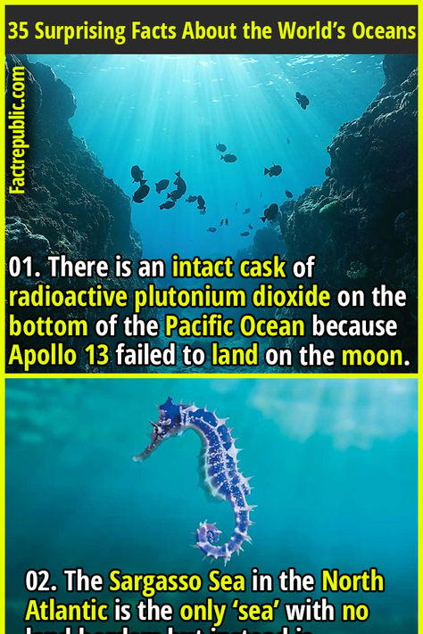 01. There is an intact cask of radioactive plutonium dioxide on the bottom of the Pacific Ocean because Apollo 13 failed to land on the moon. #nature #science #knowledge #education #ocean #water Scary Ocean Facts, Ocean Facts, Scary Ocean, Science Knowledge, Moon Nature, Fact Republic, Apollo 13, Ocean Science, Nature Science