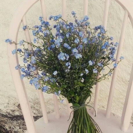 Blue Aesthetic Pastel, Nothing But Flowers, Miss Her, Flower Therapy, Flowers Blue, Forget Me Nots, Beautiful Bouquet Of Flowers, I Miss Her, Pretty Plants