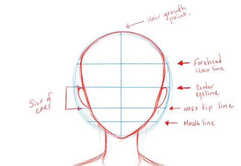 Proper proportions Anime Face Drawing, How To Draw Anime, Face Template, Anime Face, Drawing Heads, Anime Head, Drawing Cartoon Characters, Draw Anime, Drawing Faces