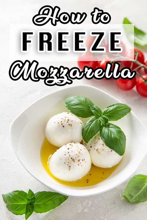 Can You Freeze Mozzarella Cheese? Freezing Cheese, Mozzarella Cheese Sticks, Blue Cheese Sauce, Mozzarella Recipes, Mediterranean Dishes, English Food, Fresh Mozzarella, Frozen Food, Curry Recipes