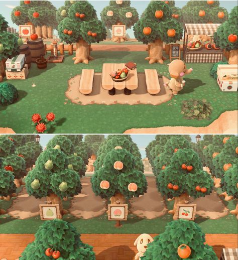 Fruit Farm Animal Crossing, Orchard Path Animal Crossing, Animal Crossing Tree Farm Ideas, Acnh Tree Farm Ideas, Farms Animal Crossing, Animal Crossing New Island Ideas, Farm In Animal Crossing, Farm Animal Crossing Ideas, Animal Crossing Island Path Code