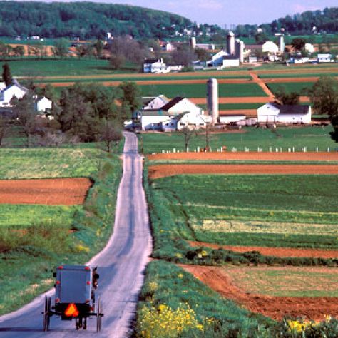 Amish Country Pa, Amish Town, Fall Weekend Getaway, Pennsylvania Dutch Country, Pennsylvania Travel, Farm Land, Lancaster Pennsylvania, Horse And Buggy, Pennsylvania Dutch