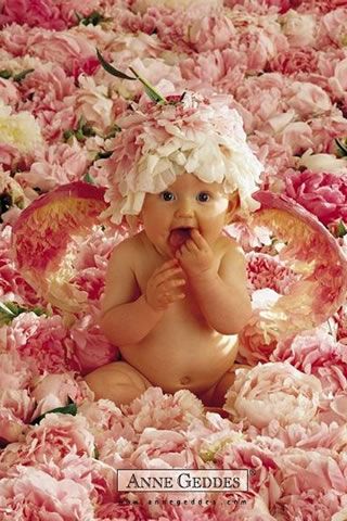 Kind Photo, Anne Geddes, Baby Posters, Baby Wallpaper, Flower Child, Baby Pictures, Baby Photography