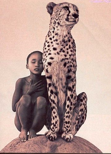 boy with cheetah | joneshelene | Flickr Gregory Colbert, Cheetahs, Wall Art Canvas Painting, African Animals, Documentary Photography, Exhibition Poster, Wall Art Pictures, Art Photo, Animal Drawings