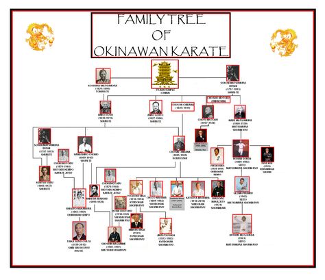 Okinawan Karate Lineage Kempo Karate, Health Games, Okinawan Karate, Health Game, Self Defense Tips, Karate Martial Arts, Art Rules, Combat Art, Current Styles