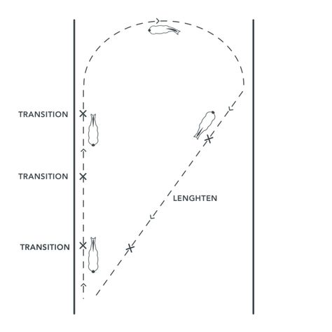 3 Exercises to Improve Your Dressage in Line with the Training Pyramid Dressage Exercises Training, Dressage Exercises, Horse Training Exercises, Horseback Riding Tips, Horse Lessons, Dressage Training, Riding Tips, Horse Exercises, Dressage Horses