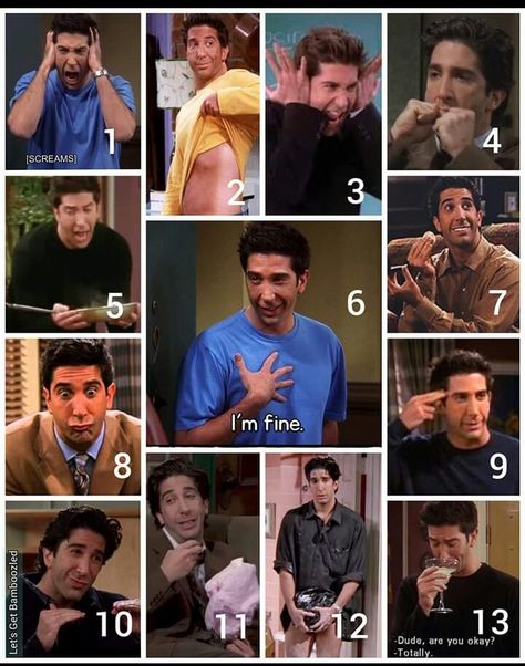 Friends Best Moments, Feelings Chart, Brain Facts, Friends Moments, In Memes, Are You Okay, Work Memes, Friends Tv, Work Humor