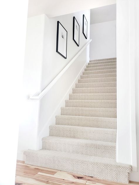 Carpet Diy, Carpet Staircase, Stanton Carpet, Basement Carpet, Entry Stairs, Basement Stairs, Carpet Cleaning Company, Style Carpet, Best Carpet