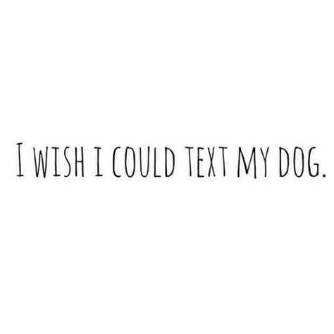 I wish!...would text them to clean the house!.. Dogs Quotes, Dog Humor, 3 Wishes, Dog Quotes Funny, Crazy Dog Lady, Dog Rules, Memes Humor, Animal Quotes, Cat Clothes