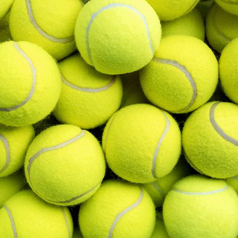 Beginner Tennis, Kids Tennis, Dog Toy Ball, Sports Massage, Tennis Match, Sport Tennis, Racquet Sports, Dog Biting, Play Tennis