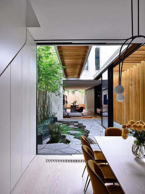 matt gibson renovates historic house in fitzroy bridge, melbourne Kitchen With Courtyard, Indoor Atrium Internal Courtyard, Japandi Courtyard, Modern Japandi House, Japandi Exterior Design, Japandi Architecture, Japandi House Exterior, Japandi Exterior, Architecture Extension