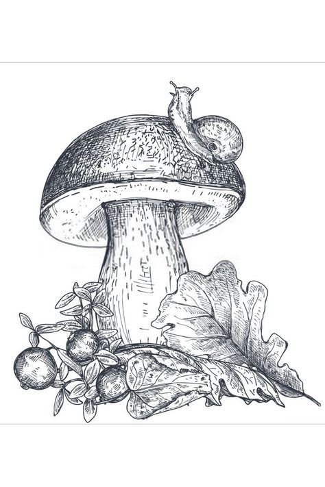 Easy pencil Mushroom Drawing Forest Mushrooms, Fall Drawings, Easy Drawing Steps, Mushroom Drawing, Autumn Illustration, Vintage Mushroom, Sketch Style, Beautiful Autumn, Mushroom Art