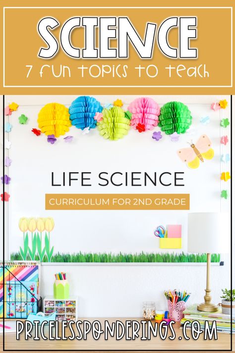 Looking for a comprehensive life science curriculum for 2nd graders? Check out our blog post highlighting 7 easy topics to engage young minds! Start exploring the wonders of life science today! #LifeScience #2ndGrade #CurriculumIdeas Pollination Activity, Interactive Anchor Charts, Fourth Grade Science, Second Grade Science, Plants Unit, First Grade Science, Third Grade Science, Science Lesson Plans, Plant Life Cycle